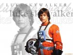 Luke-pilot-wallpaper-luke-skywalker-25107523-1024-768.jpg