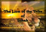 lion_of_judah_10.jpg