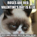 Grumpy-Cat-Valentines-Day-Meme-9.jpg