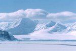 Antarctica_Coronation_island.jpg