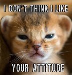 don't like attitude.jpg