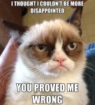 Funny-Grumpy-Cat-Memes-21.jpg