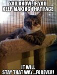 The Most Interesting Cat in the World facw.jpg