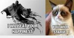 funny-picture-i-will-eat-your-happiness-you-will-starve-grumpy-cat-540x275.jpg