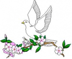 Dove Branch.png