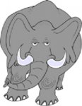 elephant02.jpg
