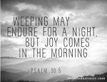 03.30.13-inspirational-bible-verse-joy-comes-2.jpg
