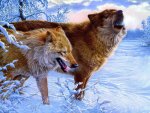 Animals_Wolves_and_Foxes_Winter_Wolves_034445_.jpg