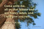 Bible Verse on God's comfort to those who are weary.jpg