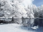 Stunning-Winter-Wallpapers.jpg