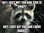 racoon rabies.jpg