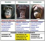Primates_chimps.jpg