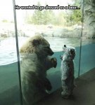 funny-kid-dressed-bear-zoo-cute.jpg