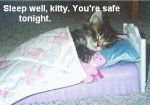 sleep-well-kitty.jpg