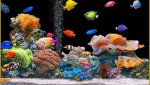 Animated Fish Tank Wallpaper-745731.jpg