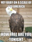 funny-eagle-question-pick-up-line.jpg