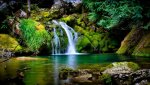 garden-of-eden-amazing-fresh-green-lanscape-nature-waterfall-wild.jpg