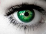 Green_Eyes_by_catsastrofic.jpg
