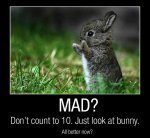 Funny_Quotes_about_Life_happy_bunny.jpg