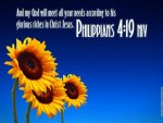 Philippians-4-19-Scripture-Flower-HD-Wallpaper.jpg