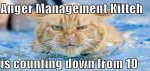 Anger Management Kitty.jpg