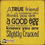 friendship-funny-quote.jpg