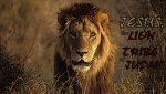 lion-tribe-judah-wallpaper_1366x768.jpg