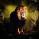 the_lion_of_judah_by_robhas1left-d5vikqz.jpg