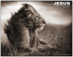 jesus-lion_1832_1024x799.jpg