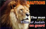 lion-of-the-tribe-of-judah22222222.jpg
