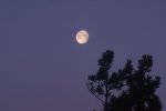 moon-night-xs.jpg
