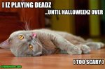 funny+halloween+animals+cat+play+dead.jpg