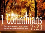 1 Corinthians  7v23.jpg