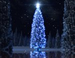 Christmas-Tree-Animated-Wallpaper_1.jpg