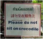do-not-sit-on-crocodile.jpg