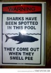 funny-shark-warning-sign.jpg