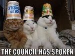council.jpg