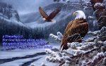 rosemary-milette-spirit-of-the-wild-bald-eagles-painting-winter-eagles-river-painting-eagles[2.jpg