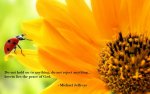 mj-do-not-hold-on-to-sunflower-lady-bug-quote-1.jpg