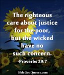 Proverbs29v7.jpg