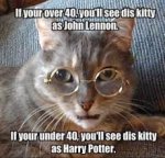 John Lennon Cat.jpg