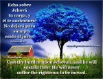 inspiring-bible-verses-Psalms-55-22.jpg