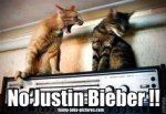 No Justin Bieber!.jpg