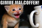 Gimme Mai Coffee.jpeg