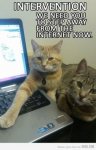 Intervention Cats.jpg