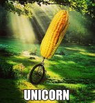 unicycle-corn-unicorn-magical-pun-13640495100.jpg