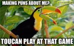 funny-toucan-bird-puns.jpg