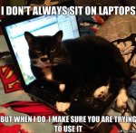 Funny-Cat-Logic-MEME-Jokes-2014.jpg