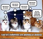 LOL Kittens.jpg