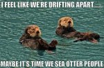Otter People.jpg